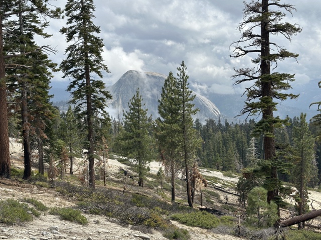 2024-08-24-Yosemite-085-Porcupine-Creek-to-NorthDome.JPG