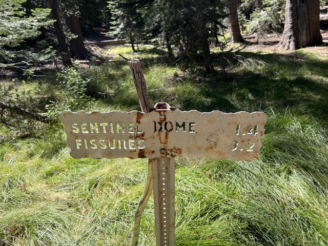 2024-08-26-Yosemite-216-Sentinel-TaftPoint.JPG