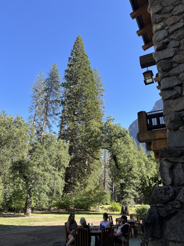 2024-08-26-Yosemite-264-Ahwahnee-Lodge.JPG