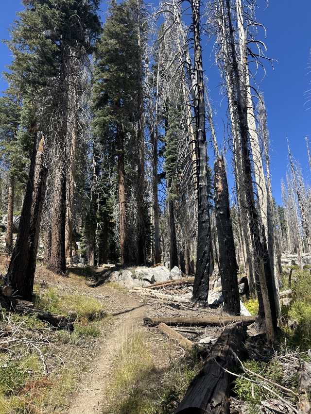 2024/08(August)/Yosemite-High-Sierra-Camp-Loop/640x480_2024-08-27-Yosemite-299-Falls-to-Tioga-Rd.JPG