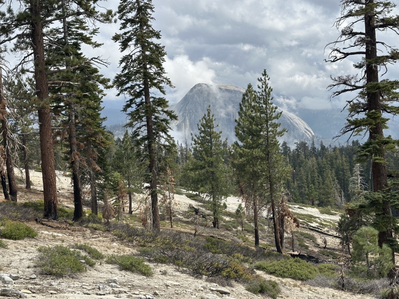 2024-08-24-Yosemite-086-Porcupine-Creek-to-NorthDome.JPG
