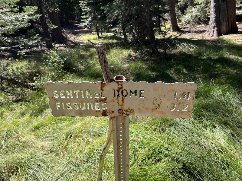 2024-08-26-Yosemite-216-Sentinel-TaftPoint.JPG