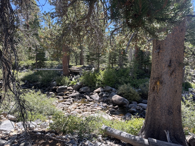 2024/08(August)/Yosemite-High-Sierra-Camp-Loop/800x600_2024-08-27-Yosemite-297-Falls-to-Tioga-Rd.JPG
