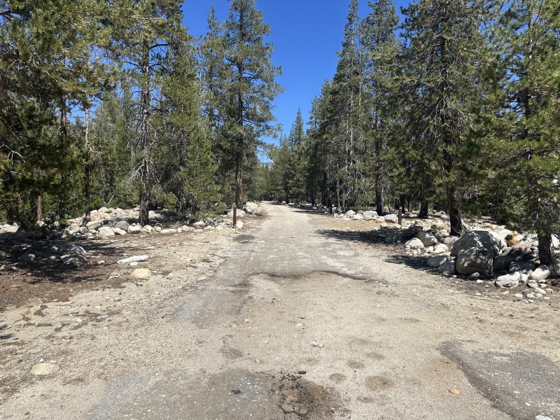 2024/08(August)/Yosemite-High-Sierra-Camp-Loop/800x600_2024-08-27-Yosemite-304-Falls-to-Tioga-Rd.JPG