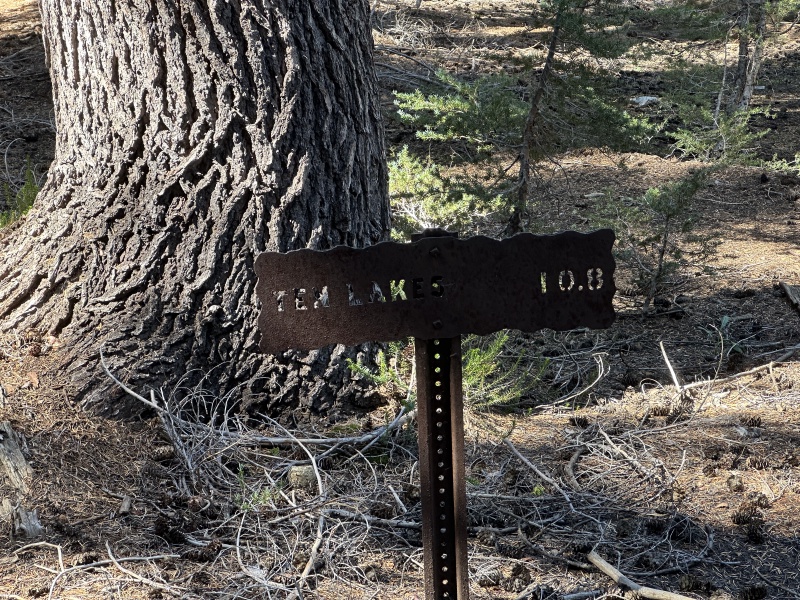 2024-08-30-Yosemite-455-hike-to-Glen-Aulin.JPG