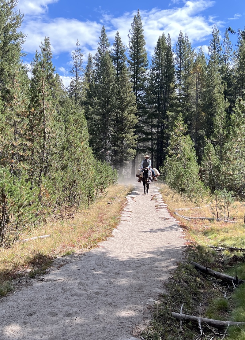 2024/08(August)/Yosemite-High-Sierra-Camp-Loop/800x600_2024-08-31-Yosemite-526-pack-mule.JPG