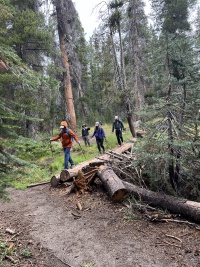 2024-08-24-Yosemite-065-Porcupine-Creek-to-NorthDome-Kavita-Travis-AdrianaGraf-JonGraf.JPG