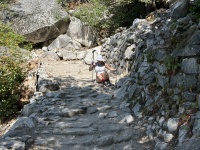 2024-08-25-Yosemite-193-HappyIsle-Mist-Trail-Nevada-Falls-Suzi.JPG