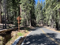 2024-08-26-Yosemite-215-Sentinel-TaftPoint.JPG