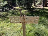 2024-08-26-Yosemite-216-Sentinel-TaftPoint.JPG