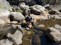 2024-08-27-Yosemite-293-Falls-to-Tioga-Rd-JonGraf.JPG