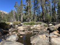 2024-08-27-Yosemite-295-Falls-to-Tioga-Rd.JPG
