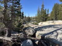 2024-08-30-Yosemite-438.JPG