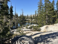 2024-08-30-Yosemite-439.JPG