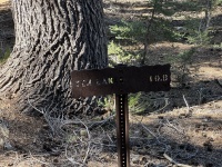 2024-08-30-Yosemite-455-hike-to-Glen-Aulin.JPG