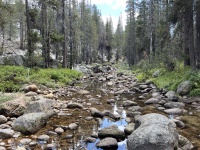 2024-08-30-Yosemite-457-hike-to-Glen-Aulin.JPG