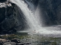 2024-08-30-Yosemite-469-Glen-Aulin-Larry.JPG