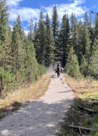 2024-08-31-Yosemite-526-pack-mule.JPG