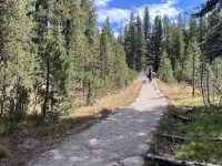 2024-08-31-Yosemite-527-pack-mule.JPG