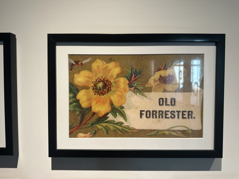 2024-09-09-VA-SAVD-Louisville-13-Old-Forester-distillery.JPG