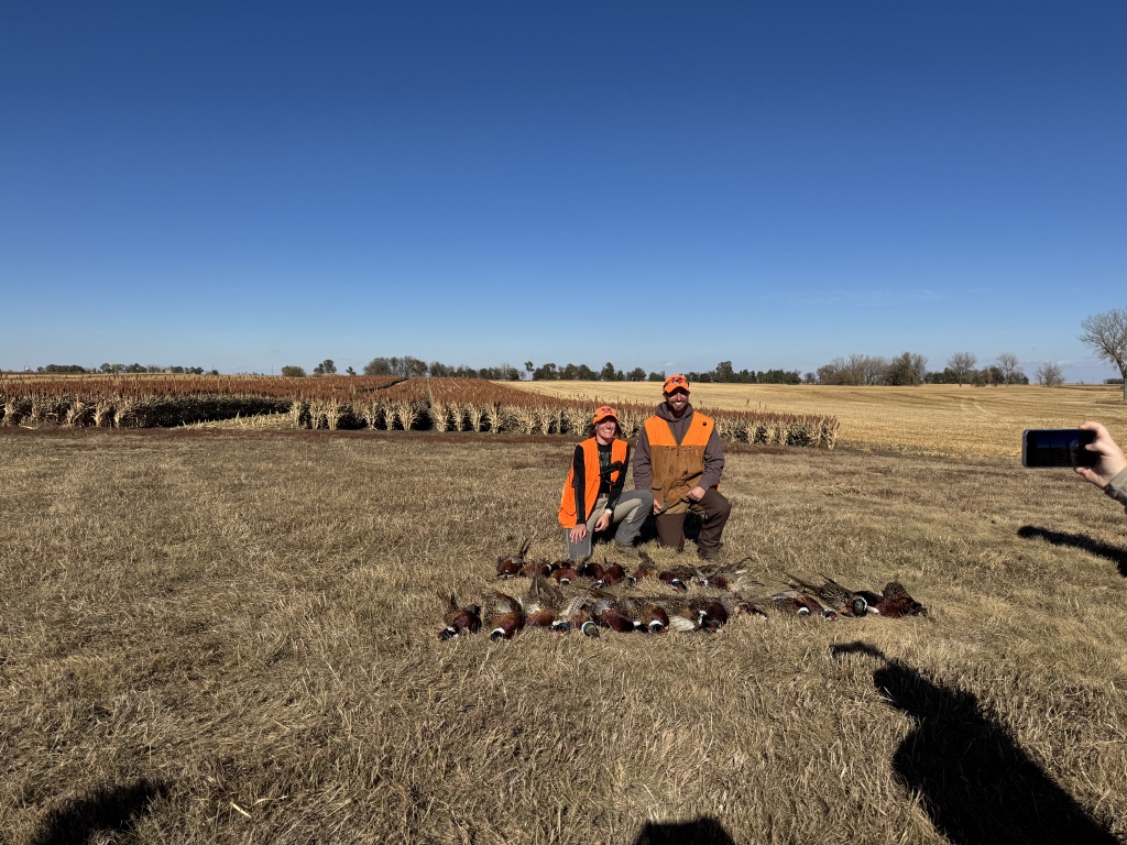 2024/10(October)/South-Dakota-Pheasant-Hunting/1024x768_2024-11-01-South-Dakota-Pheasant-Hunting-36-Kali.JPG