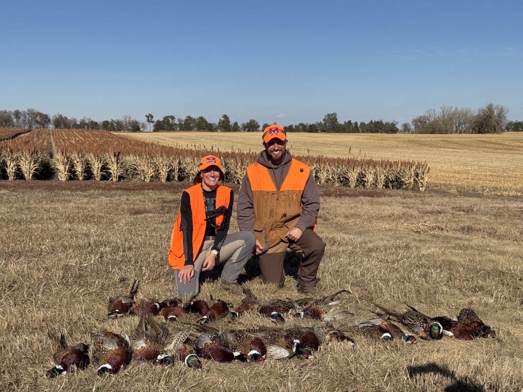 2024/10(October)/South-Dakota-Pheasant-Hunting/1024x768_2024-11-01-South-Dakota-Pheasant-Hunting-37-Kali.JPG