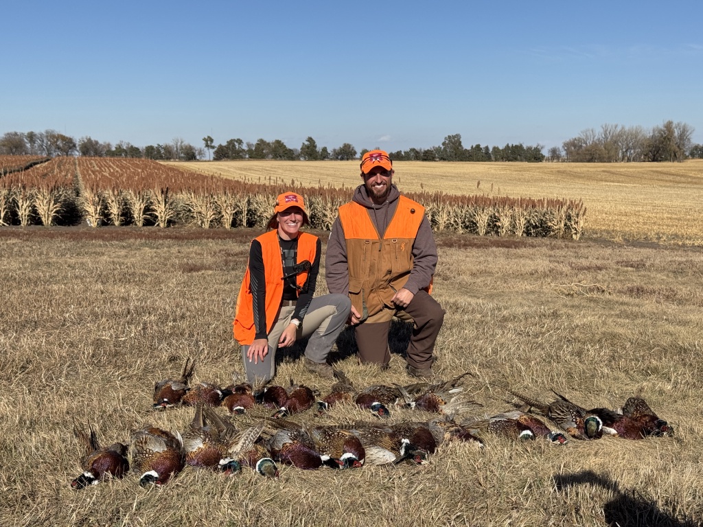 2024/10(October)/South-Dakota-Pheasant-Hunting/1024x768_2024-11-01-South-Dakota-Pheasant-Hunting-38-Kali.JPG