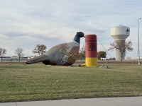 2024/10(October)/South-Dakota-Pheasant-Hunting/2024-10-27-South-Dakota-Pheasant-Hunting-01-Cabelas.JPG