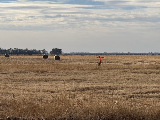 2024-10-28-South-Dakota-Pheasant-Hunting-03-Mike.JPG