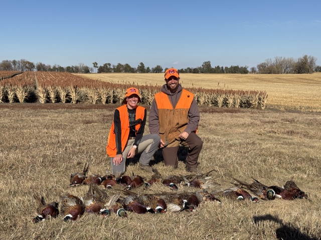 2024-11-01-South-Dakota-Pheasant-Hunting-38-Kali.JPG