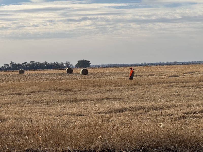 2024/10(October)/South-Dakota-Pheasant-Hunting/800x600_2024-10-28-South-Dakota-Pheasant-Hunting-04-Mike.JPG