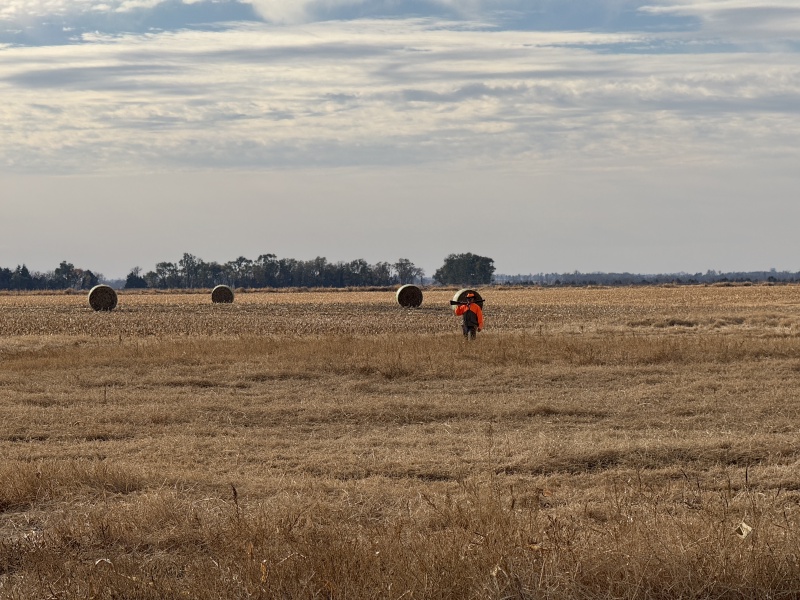 2024/10(October)/South-Dakota-Pheasant-Hunting/800x600_2024-10-28-South-Dakota-Pheasant-Hunting-05-Mike.JPG
