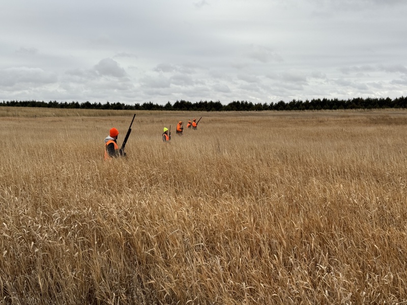 2024-10-30-South-Dakota-Pheasant-Hunting-11-Kali-John-Rose-Mike.JPG