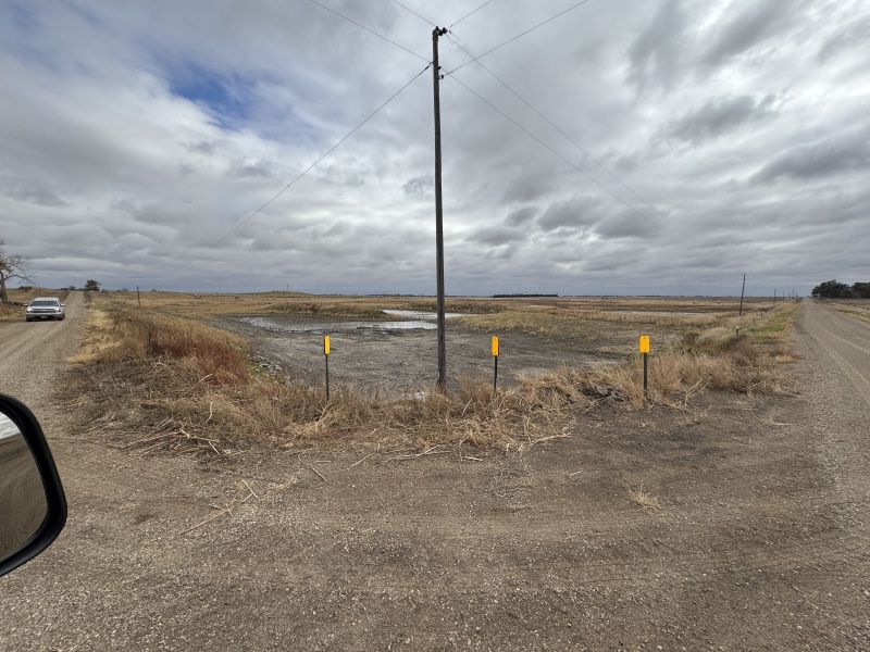 2024/10(October)/South-Dakota-Pheasant-Hunting/800x600_2024-10-30-South-Dakota-Pheasant-Hunting-16.JPG