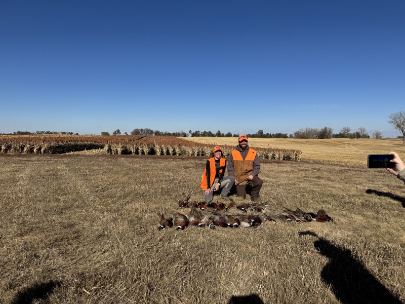 2024/10(October)/South-Dakota-Pheasant-Hunting/800x600_2024-11-01-South-Dakota-Pheasant-Hunting-36-Kali.JPG