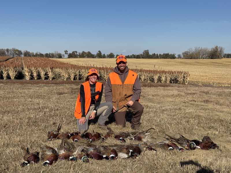 2024/10(October)/South-Dakota-Pheasant-Hunting/800x600_2024-11-01-South-Dakota-Pheasant-Hunting-37-Kali.JPG