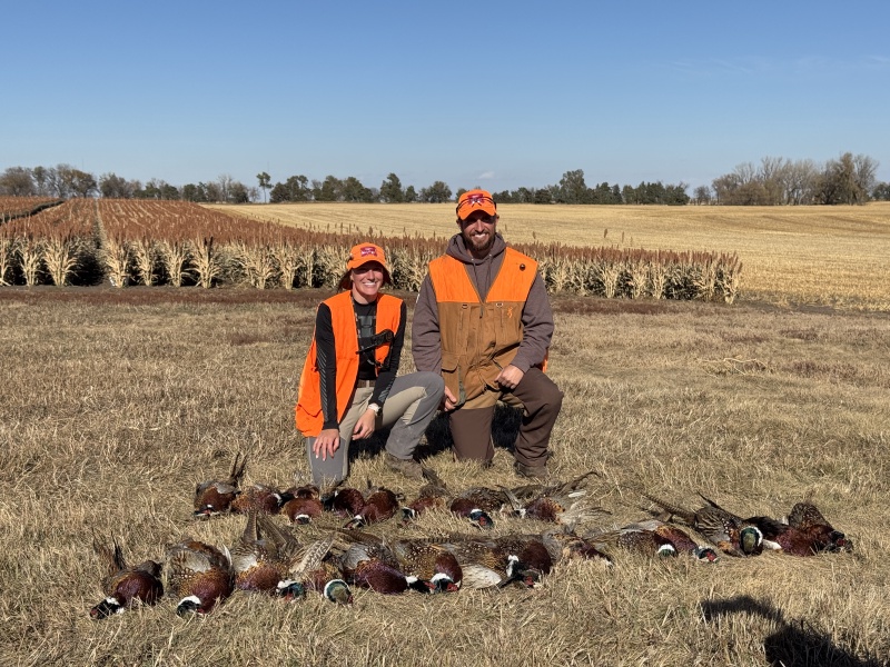 2024/10(October)/South-Dakota-Pheasant-Hunting/800x600_2024-11-01-South-Dakota-Pheasant-Hunting-38-Kali.JPG