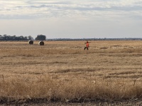 2024-10-28-South-Dakota-Pheasant-Hunting-02-Mike.JPG