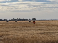 2024-10-28-South-Dakota-Pheasant-Hunting-05-Mike.JPG