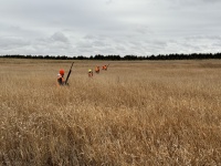 2024-10-30-South-Dakota-Pheasant-Hunting-11-Kali-John-Rose-Mike.JPG