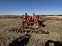 2024-11-01-South-Dakota-Pheasant-Hunting-30.JPG