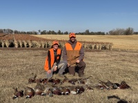 2024-11-01-South-Dakota-Pheasant-Hunting-37-Kali.JPG