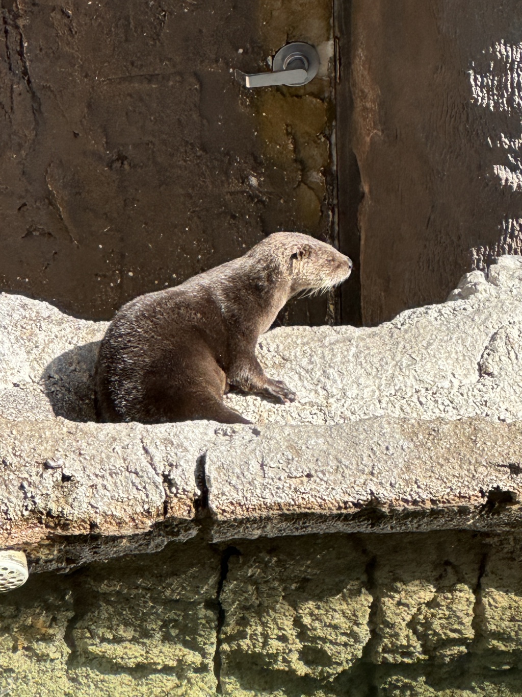 2024-11-11-Corpus-Christie-06-aquarium.JPG