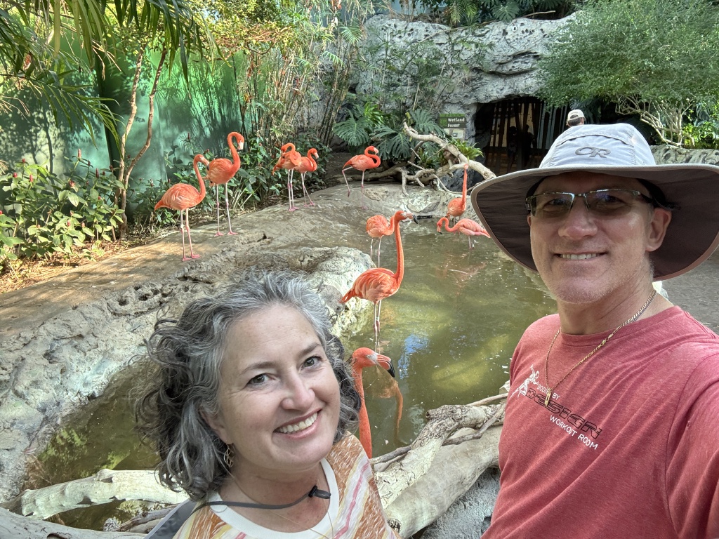 2024-11-11-Corpus-Christie-17-aquarium-Suzi-Travis-flamingos.JPG