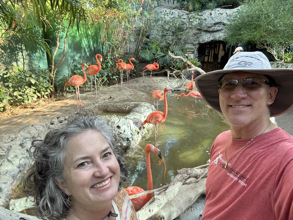 2024-11-11-Corpus-Christie-18-aquarium-Suzi-Travis-flamingos.JPG