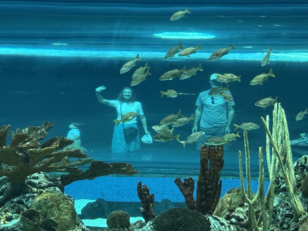 2024/11(November)/Corpus-Christi-Chris-Vanessa-Casa-Basta/1024x768_2024-11-11-Corpus-Christie-20-aquarium-Vanessa-ChrisDavis.JPG