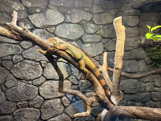 2024-11-11-Corpus-Christie-19-aquarium.JPG
