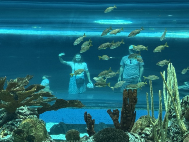 2024-11-11-Corpus-Christie-20-aquarium-Vanessa-ChrisDavis.JPG