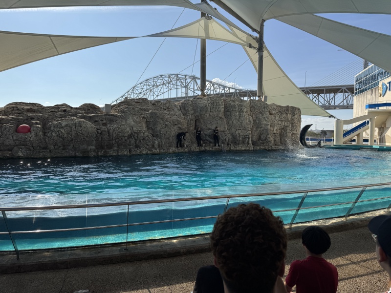 2024-11-11-Corpus-Christie-12-aquarium.JPG