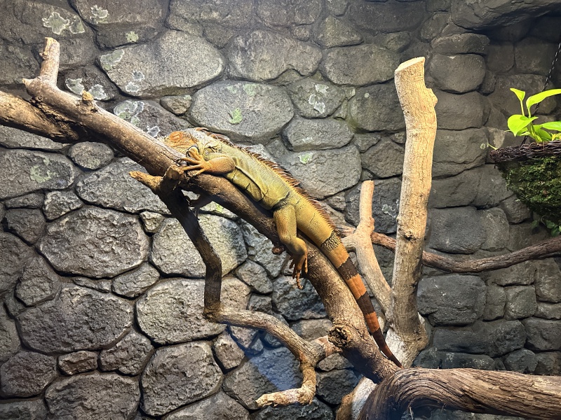 2024-11-11-Corpus-Christie-19-aquarium.JPG